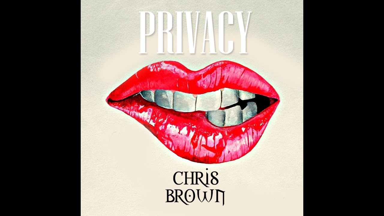 Resultado de imagem para Chris Brown - Privacy