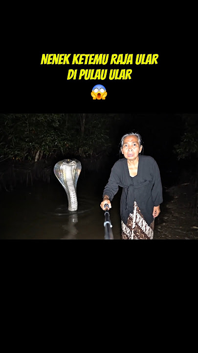 Nenek Ketemu Raja Ular Raksasa di Pulau Ular Jambi! Penjaga Gaib Sungai Batanghari Nyata?!