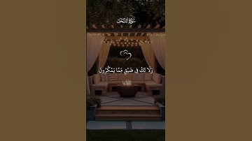 سورة النحل تلاوة هادئه تريح القلب ❤ قران كريم ❤ قرآن ❤قران ❤ تلاوة خاشعة ❤أرح سمعك ❤ short ❤
