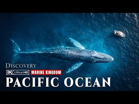 Pacific Ocean: Inside the Wildest Marine Kingdom on the Planet