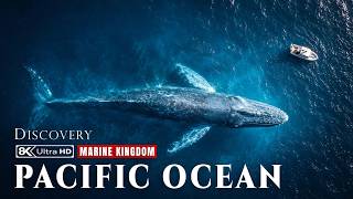 Pacific Ocean: Inside the Wildest Marine Kingdom on the Planet