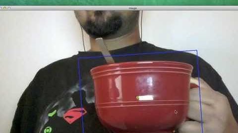 OpenCV + Python + CAMshift Object Tracking