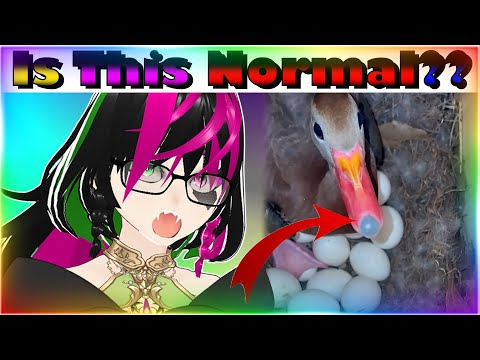 Is This Normal??? | Daily Dose Reaction | Vtuber Reacts