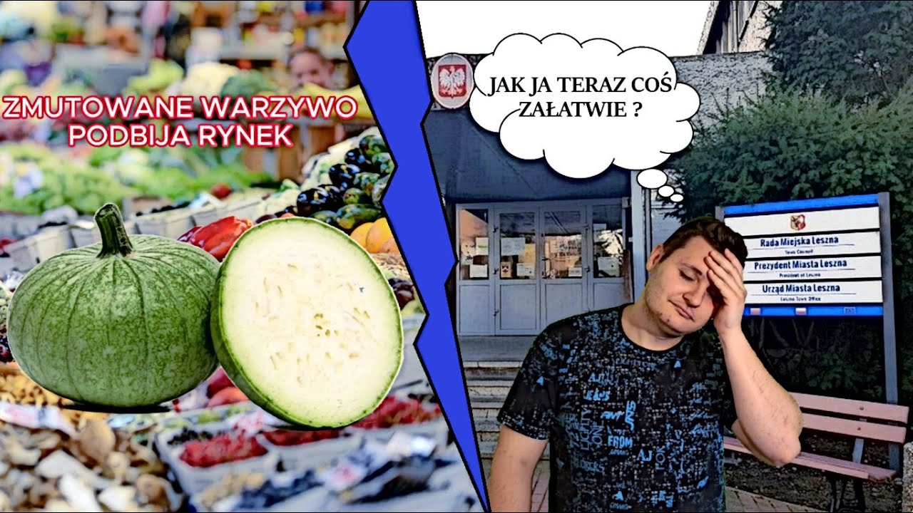 Chiński odwet za cła, Prawo komunikacji elektronicznej, Zucchiolo, krótszy czas pracy w Lesznie