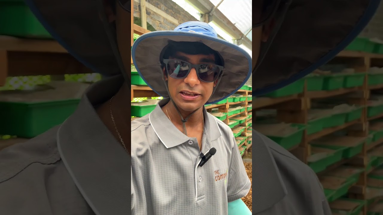 Interested in doing an earthworm farming course?