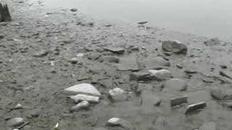 "Too Lost to Find" excerpt