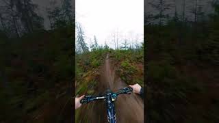 The Best New Trail Around!! Insane 🔥