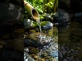 Calming Bamboo Water Flow for Relaxation & Meditation (4K) #asmrrelaxation #ASMRrelaxation
