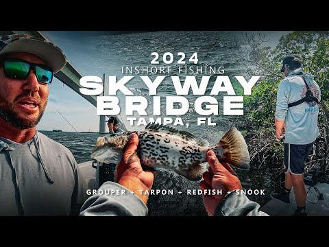 Skyway Bridge Fishing Tampa Florida Grouper Tarpon Redfish Snook | Mangroves + Bridge Legs