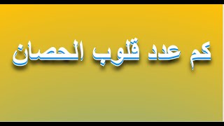 كم عدد قلوب الحصان | دنيا المعلومة