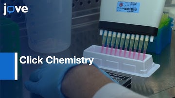 Proliferation Of Vascular Smooth Muscle Cells Using Click Chemistry l Protocol Preview