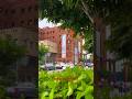 JECRC University #jecrcuniversity #collegecampus #shorts