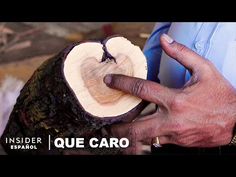 Video: ¿Por qué el palisandro es caro?