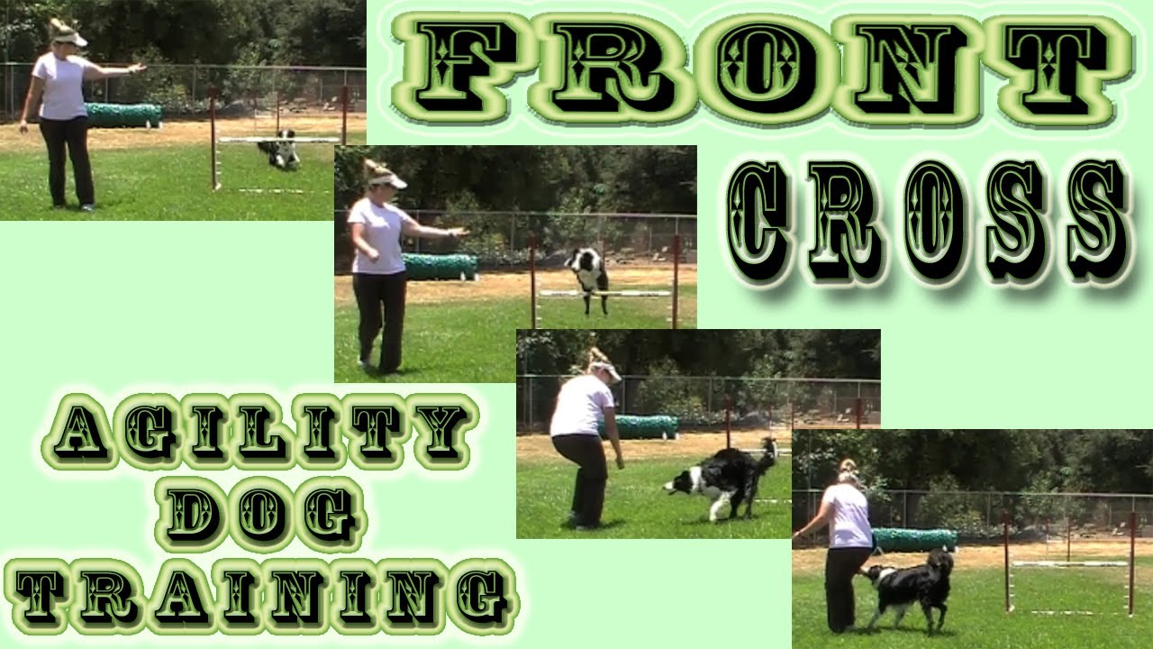 Front Cross - Dog agility clicker training 