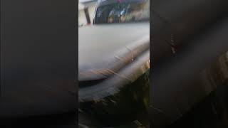 stupid pspring pollen