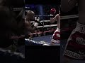 Mayweather vs Berto 👑 #boxing #berto #mayweather #49-0 #legend #goat #boxe #viral #tbe #fight #top