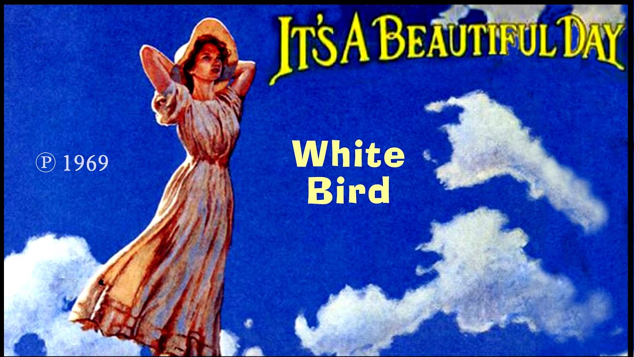 IT´S A BEAUTIFUL DAY White Bird YouTube