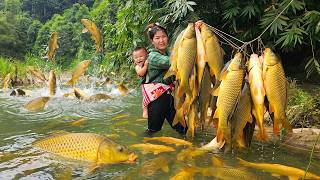 Just One Night, and the Fishing Rods Brought in an Incredible Haul of Giant Fish.