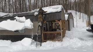 Wolves or winter? Who will get me first? #cabininthewoods #wildlife #offgridcabin