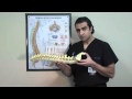 Spine Treatment Center - Radio Frequency Ablation-Facet Block, Non-Surgical