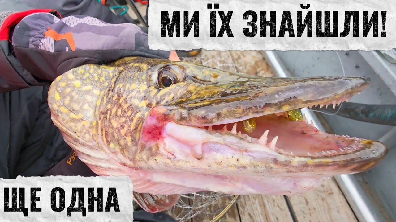 ТРОФЕЙНА рибалка на ЩУКУ і СУДАКА  Осінній Джиг який рве снасті