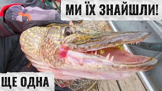 видео: ТРОФЕЙНА рибалка на ЩУКУ і СУДАКА  Осінній Джиг який рве снасті картинка: ТРОФЕЙНА рибалка на ЩУКУ і СУДАКА  Осінній Джиг який рве снасті