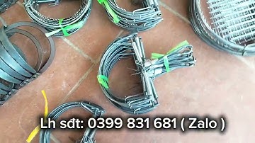 Mẫu cạm kiềng 9cm, bán nguyệt nhỡ đại đánh chuột sóc cò chồn #cambaychuot#camkieng