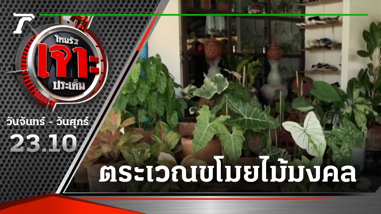 รวบหนุ่มใหญ่ตระเวณขโมยไม้มงคลหารายได้ | 06-10-64 | ไทยรัฐเจาะประเด็น