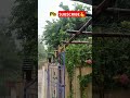 #youtubeshorts #rain #rainsounds #beautiful #vana #rainbow #shorts #love #youtube