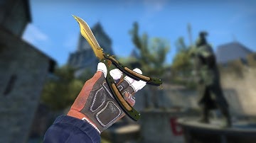 BUTTERFLY KNIFE LORE UNBOXING!!!