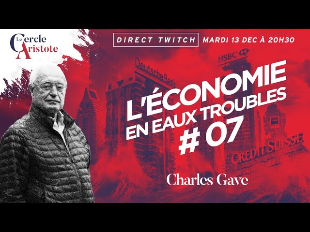 L'économie en eaux troubles: ep.7 C.Gave