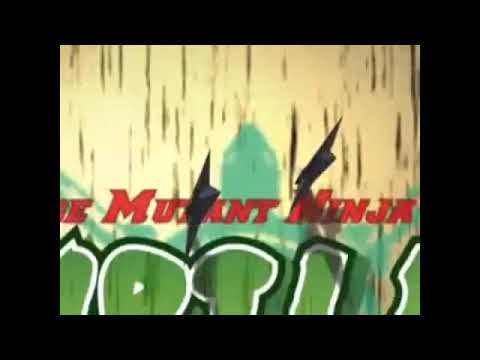TMNT naruto