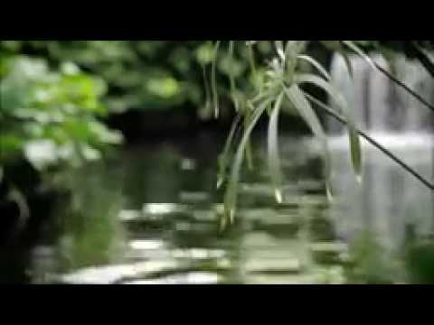 فاهم الجميلي الى اول مره 1976 جارك ياعيني جارك 