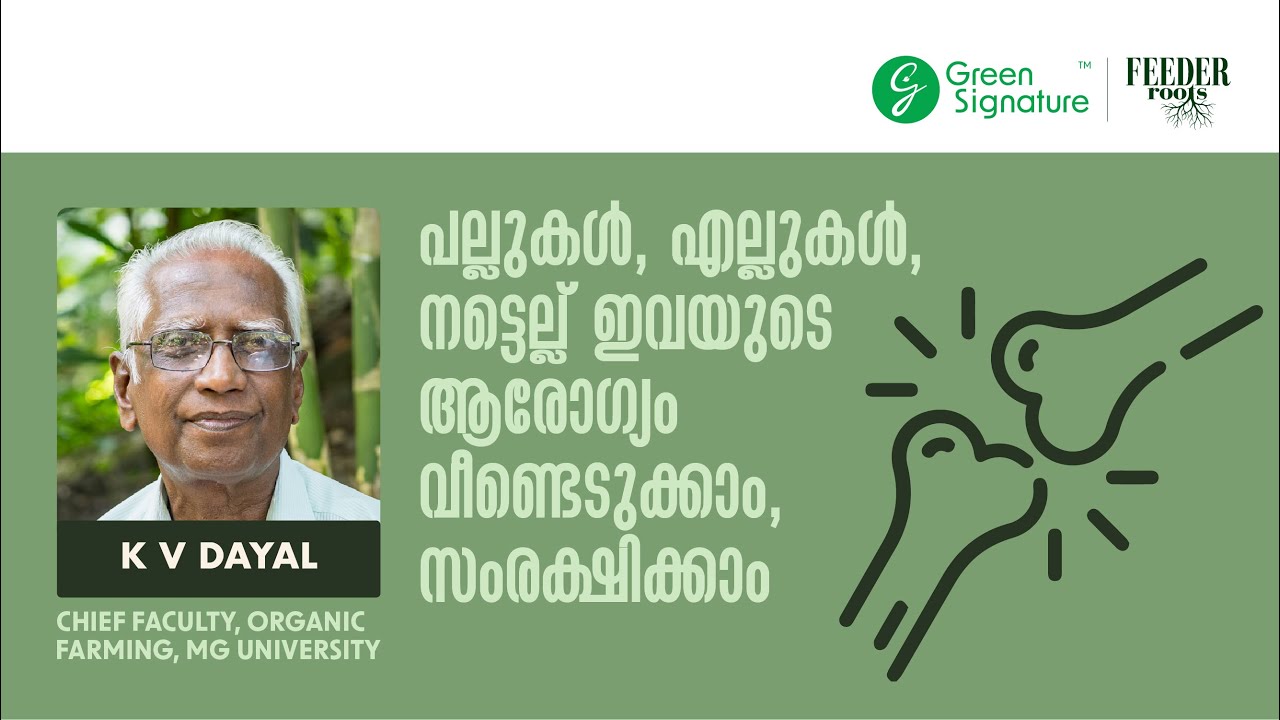 എല്ലുകൾ, പല്ലുകൾ, നട്ടെല്ല് : ആരോഗ്യം വീണ്ടെടുക്കാം | Webinar | Live Stream Session 15