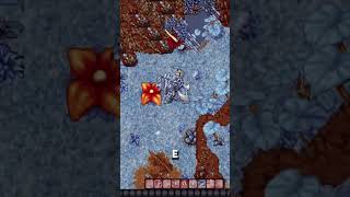 URSOS INSANOS! 2 NOVOS NETSPIRIT🔥CYBERFLORA! JOGO DE TIBIA 2026 #digimon #pokemon #tibia