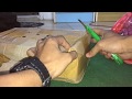 UNBOXING Retic Tiger Full Stripe NGEEERRIIII !!!