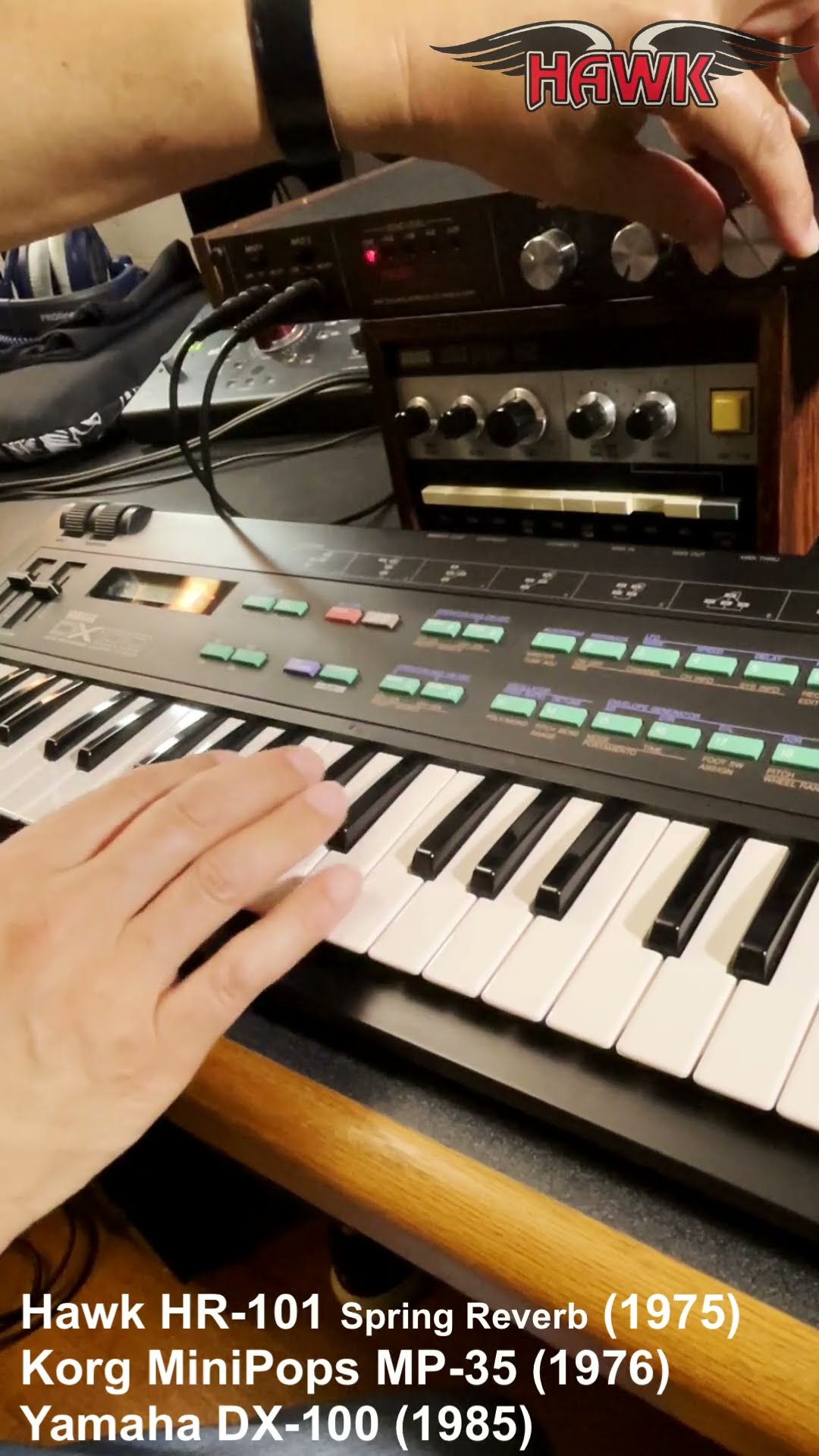 ベース HAWK HR-101 ECHO SPRING REVERB Roland RDE-1800 digital echo, Hawk HR-101 spring reverb