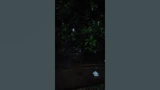 Hujan Malam yang Menenangkan | Relaxing Rain Sounds'