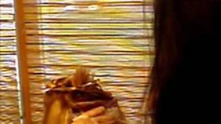 Apply Foils and Bleach Movie!.wmv