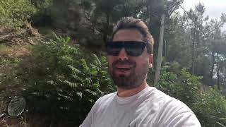 Vespa Primavera 150 Mickey Mouse İnceleme