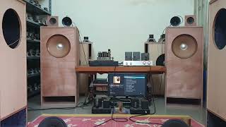 Jazz Variant - DIY speaker (Heco 41cm, Feho 13cm, Rft horn)