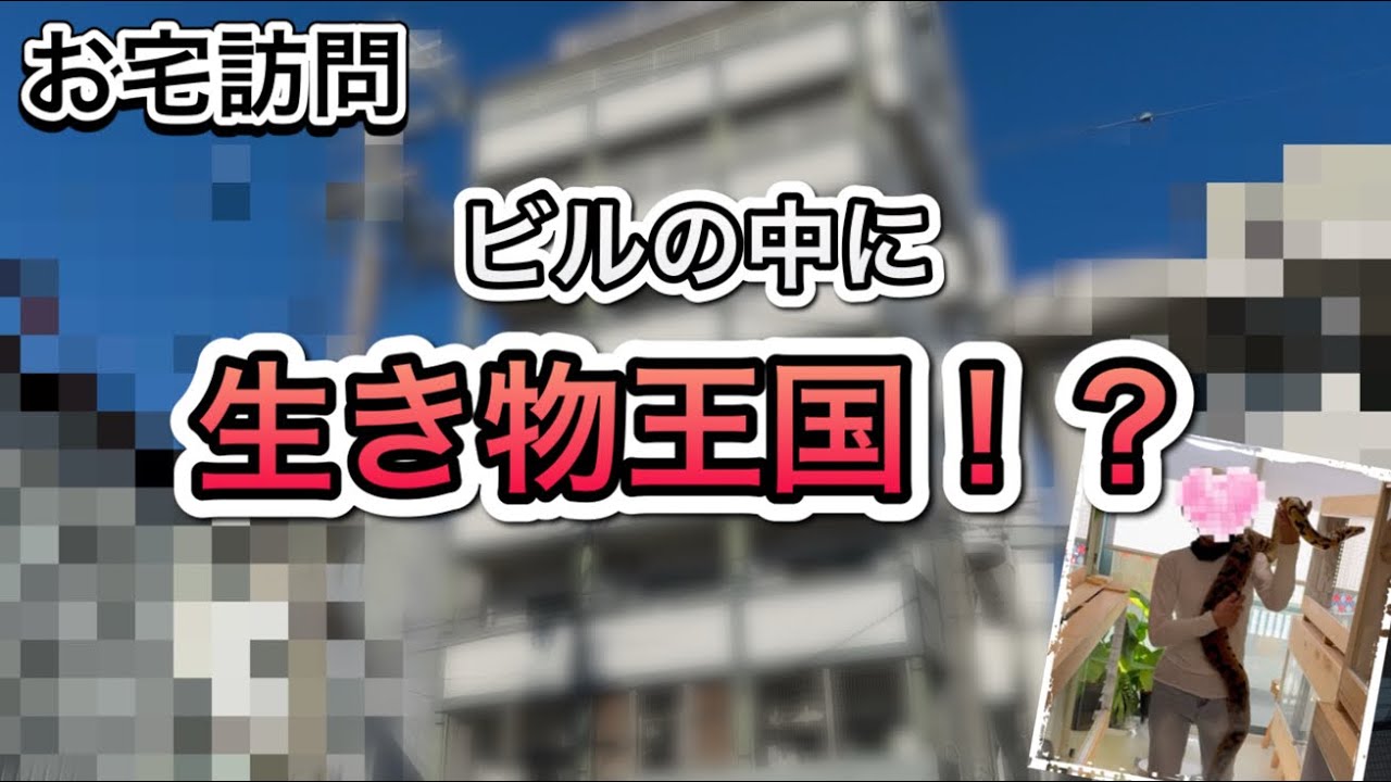 【お宅訪問&水槽搬入】『すごい』の連発！！水槽搬入のお手伝いもしてきました