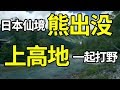 日本人间仙境上高地，偶遇黑熊，怎么办？