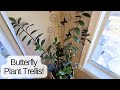 Support your plants! | Coomin | Check it OUT!!