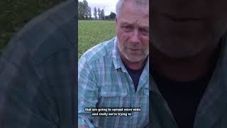 What You Need to Know About Cover Crops & How Theyll Bring Super Growth for Your Crops