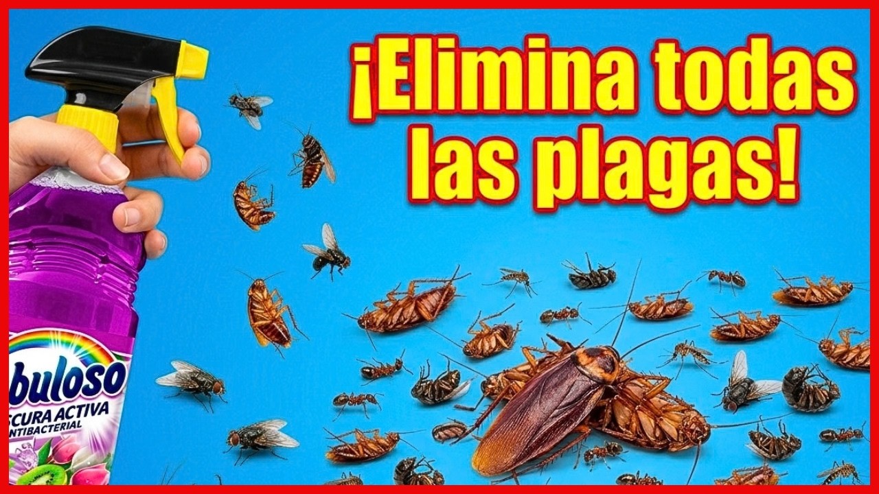 Latest Title & Thumbnail