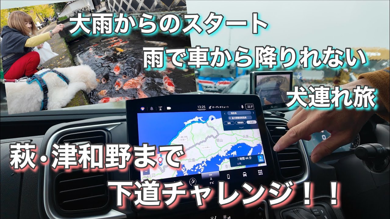 【滋賀からデュカトで下道珍道中！】鯉の群れにビビる大型犬！秋の味覚満喫の旅！＃キャンピングカー＃車中泊＃大型犬連れ