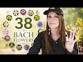 Do ALL the Bach Flower Remedies Sound Like You?