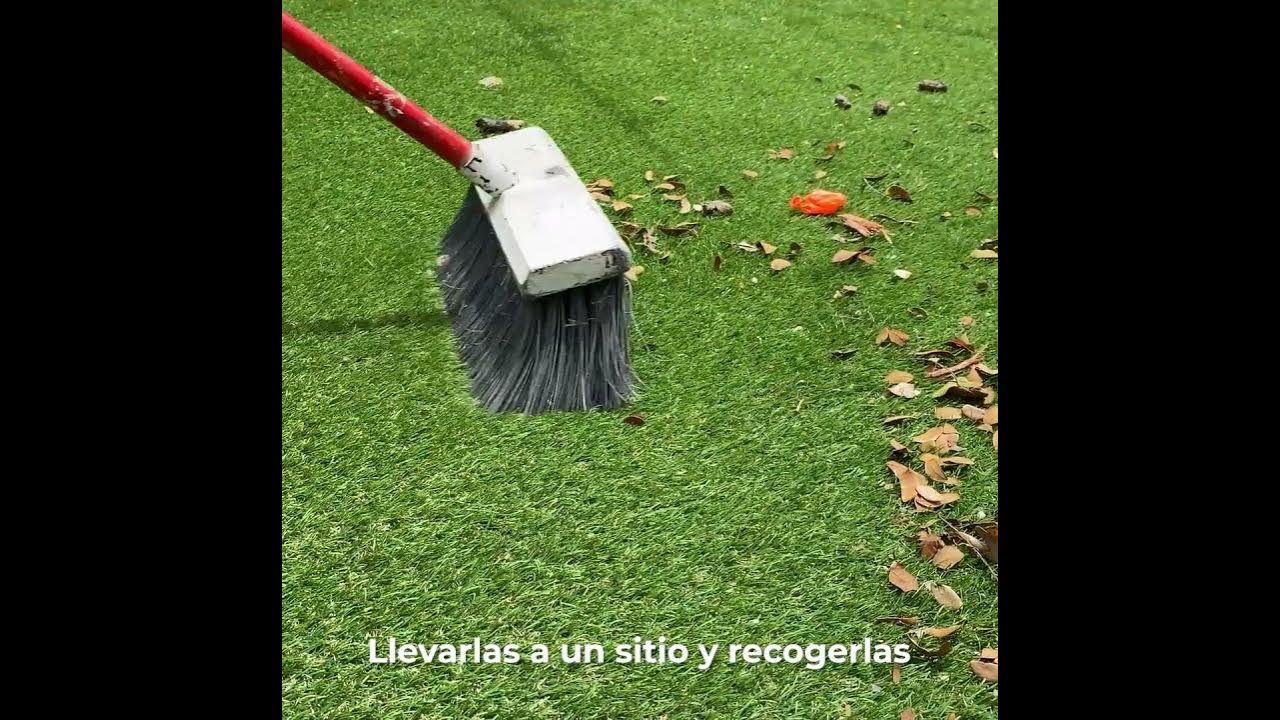 ¿Cómo se limpia el Césped artificial? (Tips para limpieza en un sencillo paso) YouTube