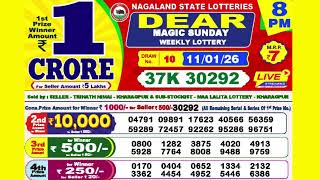 DEAR MAGIC SUNDAY WEEKLY LOTTERY TODAY RESULT 8 PM 11/01/26#latest lottery result screenshot 5